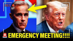 Neil Crouse's Instagram, Twitter & Facebook