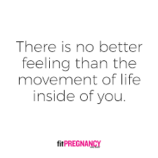 Pin On Pregnancy Quotes