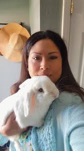 Is there a great rabbit-savvy vet in the Mondovi area?