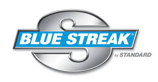 Image result for Blue Streak 2021 Fleet