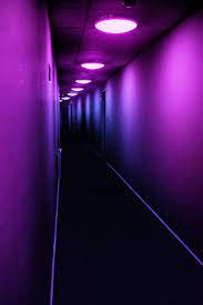 Become an instagram sensation by adding quirky neon word signs and aesthetic neon sculptures to your store, café, food truck, yoga studio or workspace. Glowoholic In 2021 Purple Aesthetic Neon Purple Neon Aesthetic