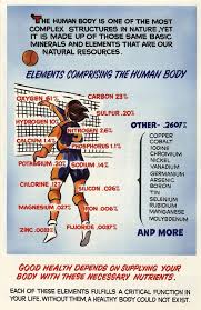 Elements Comprising The Human Body Poster Minerals Education Coalition Store Human Body Chemistry Labs Earth Science