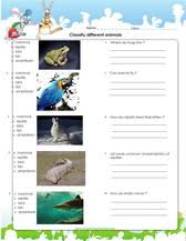 September 17th, 2020 18:51:21 pm5th gradeguppy. 6th Grade Science Worksheets Pdf Downloads