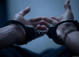 Обвиняемого в завладении 150 000 евро под предлогом обучения за рубежом экстрадируют в Азербайджан