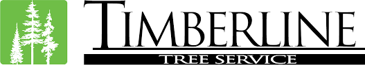 Experience quality tree care services from a certified arborist with 37 years of experience in the business! Tree Service Company Arborists Timberline Tree Service Bel Air Md