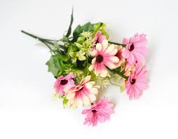 Image result for paprskovka obrázek