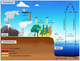 Elemental Mercury Its Unique Properties Affect Its Behavior And Fate In The Environment Sciencedirect