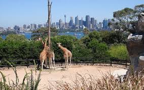 From the eastern suburbs and manly, to prime spots by the harbour or bang in the middle of the cbd, take your pick of the views on offer and revel in a piece of sydney's cityscape. Things To Do In Sydney Our Top 10 Updated 2020