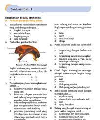 Demikianlah update tentang soal soal latihan uas kls 6 smtr 1 ktsp dan tematik kurikulum 2013 diatas, semoga bermanfaat bagi kita semuanya. Kumpulan Soal Ipa Kelas Vi Semester 1 2 Sekolahdasar Net