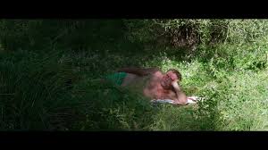 L Inconnu Du Lac Trailer Hd Video Dailymotion