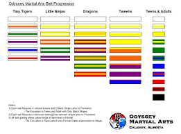 odyssey martial arts belt progression