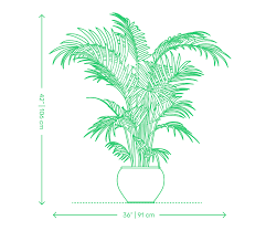We did not find results for: Indoor Plants Dimensions Drawings Dimensions Com