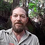 Why Didn't the Bird Cross the Road? · Frontiers for Young Minds