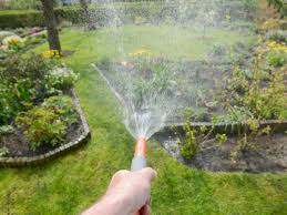 But you really want to water the soil, which is the reservoir for the roots, rather than the blades themselves. Watering Gardens Learn How To Water A Garden Effectively