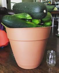 Slice the zucchini in long strips, about 1/4 inch thick. 5 Amazing Recipes For Large Zucchini What To Do With Giant Zucchini
