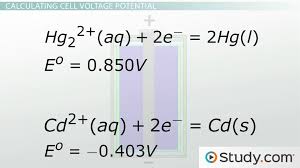 Cathode And Anode Half Cell Reactions