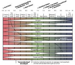 watering orchids with tap water a lesson on ph hardness