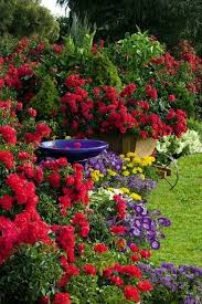 Pin By Yvette Rousseau On Flowers Beautiful Gardens Dream Garden Plants