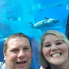 Critter control recommendations needed