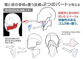 イラスト豆知識 顎の描き方 ビジネスアニメ 描き方 イラスト アオリ 顔