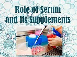 Check spelling or type a new query. Role Of Serum And Its Supplements Ppt Download