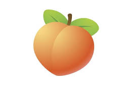Free translation service for online automatic translation of text and web pages, translating between many languages, including spanish, french, japanese, german. Looking At Booty The Word Merriam Webster