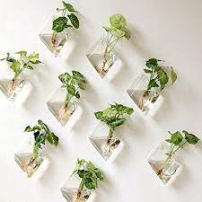 31 magical pieces of decor that ll make you forget re a muggle indoor plant wall planters hanging glass fake string pearls