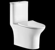 Built by trivia lovers for trivia lovers, this free online trivia game will test your ability to separate fact from fiction. Toilet Trivia Hindware Homes Blog