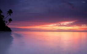 Check spelling or type a new query. Purple Sunset At White Sandy Beach Wallpaper Beach Wallpapers 46119
