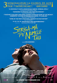 Una dintre cele mai greu de conturat predicții din lumea artei este, fără doar și poate, cea care implică cel mai prestigios premiu cinematografic: Filmele Nominalizate La Premiile Oscar 2018 Èi In Cinematografele Din Romania Marea Dragoste