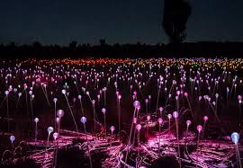 With uluru as the backdrop, guests. Field Of Light Pass Ayers Rock Resort