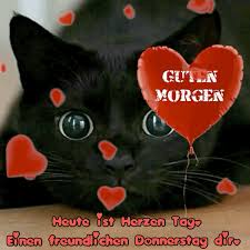Sie müssen nur das … Pin Von Vanessa Von Koenen Auf Guten Morgen Guten Morgen Gruss Guten Morgen Donnerstag Lustig
