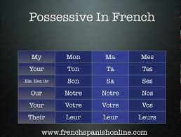 French Possessive Adjectives Lessons Tes Teach
