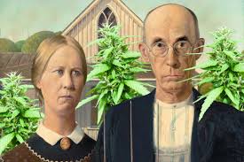 Legal cannabis — the psychotic American dream?