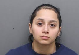 Why is Passover different from all other nights? 3 essential reads