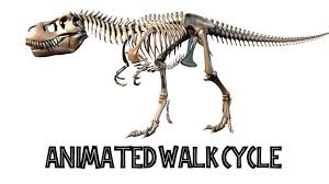 T Rex Skeleton Walk Cycle Animation Rigged 3d In 2020 Animation Walk Cycle Animation Cycle