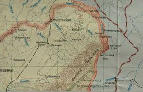 Image result for Pavetta redheadii