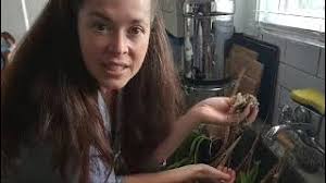 Plant Chat with Orchids