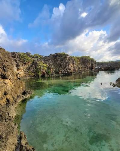 Turtle Bay Cove - Jamaica - Rexby