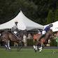 Hamptons Polo House