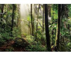 Image result for Terrarium Cling Background