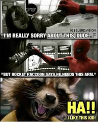 30 Incredibly Funny Rocket Raccoon Memes That Will Hurt Your Stomach Comic Books Beyond