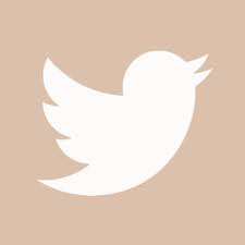 Twitter App Icon Ios14 Homescreen App Icon Ios App Icon Design Beige Icons