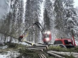 Korpipojat Oy: Korpimetsien korjuuta luontoa kunnioittaen | ammattilehti.fi