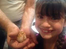 Urban Girl Natural Farms