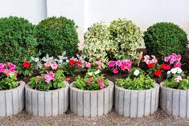 Put the rain garden in a natural low spot that fills with water after a storm, if possible, and in an area that gets a half to a full day of sun. How To Water A Garden Without A Hose Kellogg Garden Organics