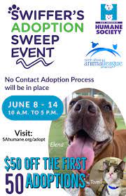 Swiffer S Adoption Sweep Event At The Sahs Adoption Animal League Adoption Process