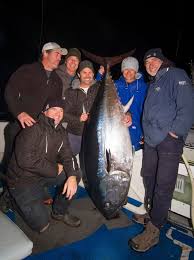 Any of various often large scombroid marine food and game fishes of the genus thunnus and related genera, several of which, including albacore and skipjack tuna, are commercially important sources of canned fish. Tagged Southern Bluefin Tuna Claimed To Be Oldest Recaptured Under Csiro Program Abc News