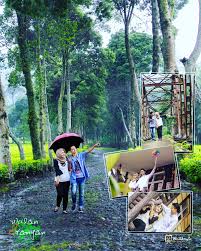 We did not find results for: Prewedding Weddingku Magazine