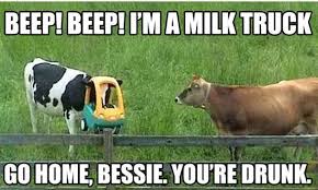 Beep Beep I M A Milk Truck Lol Cow Funny Animals Show Cows